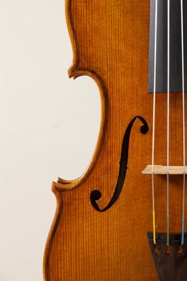 violino giordano 11.jpg