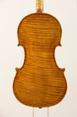 violino giordano 12.jpg