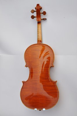 Viola Fiora 016.jpg