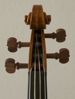 15_Violino.jpg