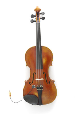 gazich violino.jpg