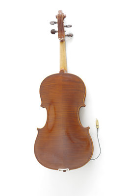 viola gazich fondo.JPG