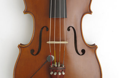 viola gazich dettagli.JPG