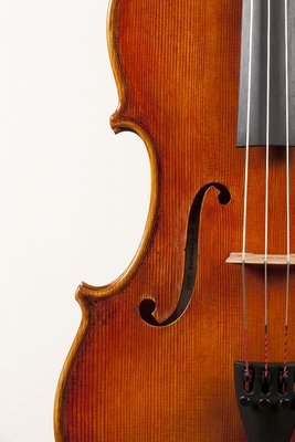 Elisabetta Giordano viola Tertis 41.jpg