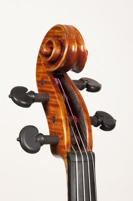 testa viola tertis Giordano 2011.jpg