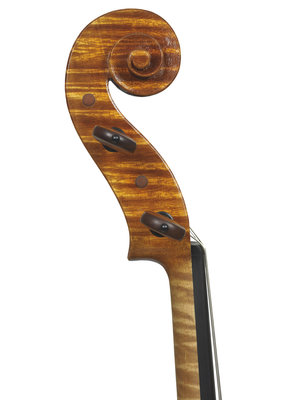 Alessandra Pedota testa viola Gasparo da Salo'.jpg