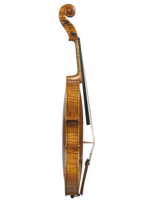 Alessandra Pedota viola Gasparo da Salo'.jpg