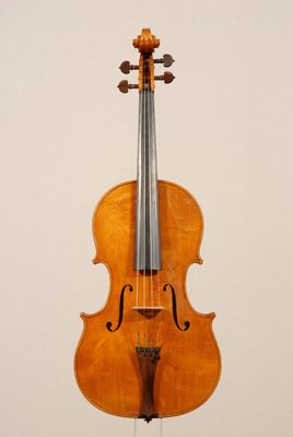 viola Pedota intera.jpg