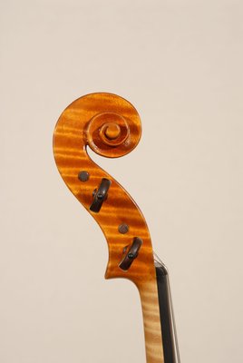 testa viola Pedota.jpg