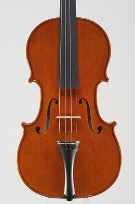 tenore violino.jpg