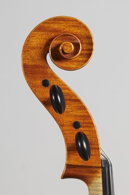 tenore cello testa.jpg