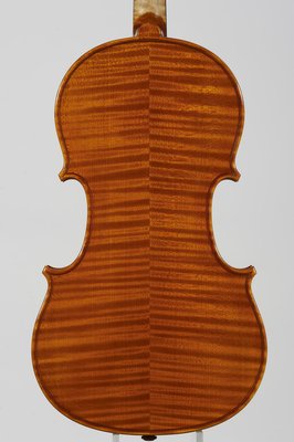 Gianluca Zanetti violino fondo.jpg