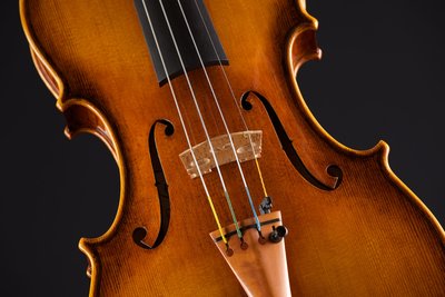 Bénédicte Friedmann violino.jpg