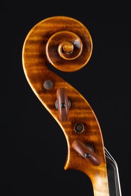Bénédicte violino testa.jpg