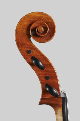 Alessandro Tossano cello testa.jpg