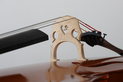 Luca Bastiani ponticello.jpg