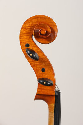 Luca Bastiani violoncello testa.jpg