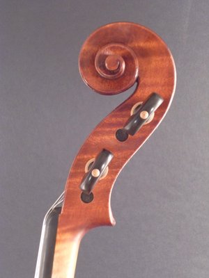 Dario Michielon violino.jpg