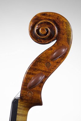 Daniele Ciaccio testa.jpg