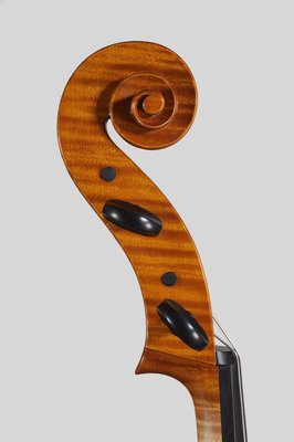 Tossani cello testa.jpg