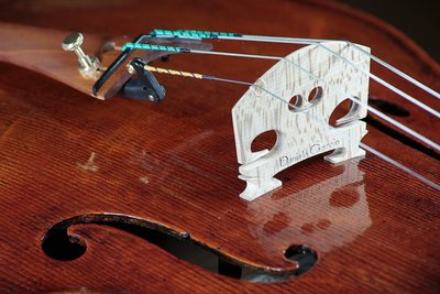 Daniele Ciacco dettagli.jpg