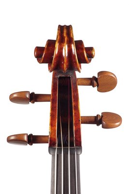 Daniele Ciaccio viola testa.jpg