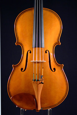 viola sartoti mod maggini.jpg