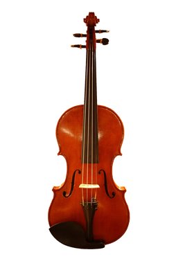 violino completo.jpg