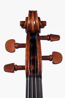 Daniele Ciaccio violino Bergonzi testa.jpg