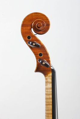 Vincenzo Bissolotti testa violino.jpg