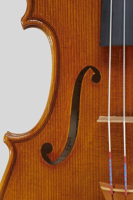 Primo Pistoni violin dettagli.jpg