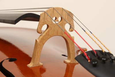 Bastiani 2013 ponticello 3.jpg