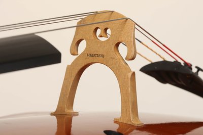 Bastiani 2013 ponticello 2.jpg