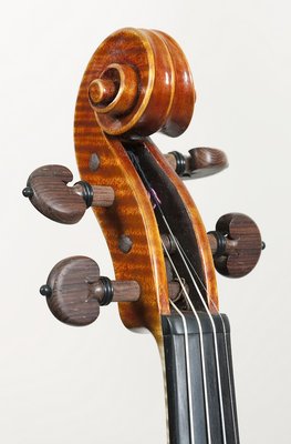 testa Nicola Amati Elisabetta Giordano.jpg