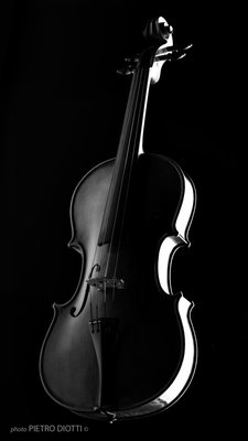 ViolinoB01_2013_195.jpg