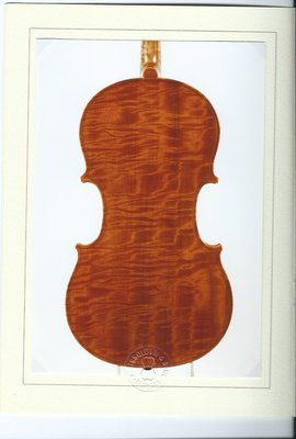 viola Salò Bisso fondo.jpg