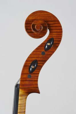 Luca Tenore testa 2013.jpg