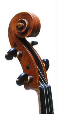 Filippo Fasser viola testa.JPG