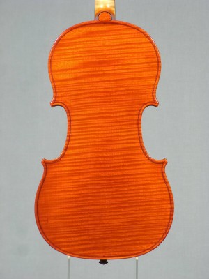 Davide Sora - fondo 2013.jpg