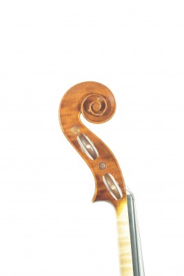 Cassi testa 2007.jpg