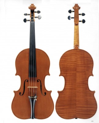 viola lira tavola fondo.jpg