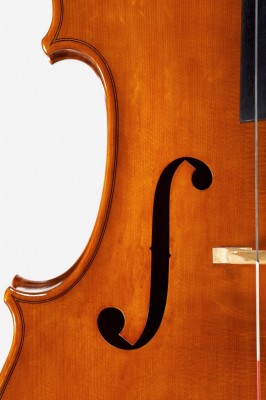 Lorenzo Cassi violoncello_quartetto_effe.jpg