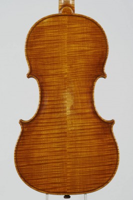 Daniele Scolari violino fondo.jpg